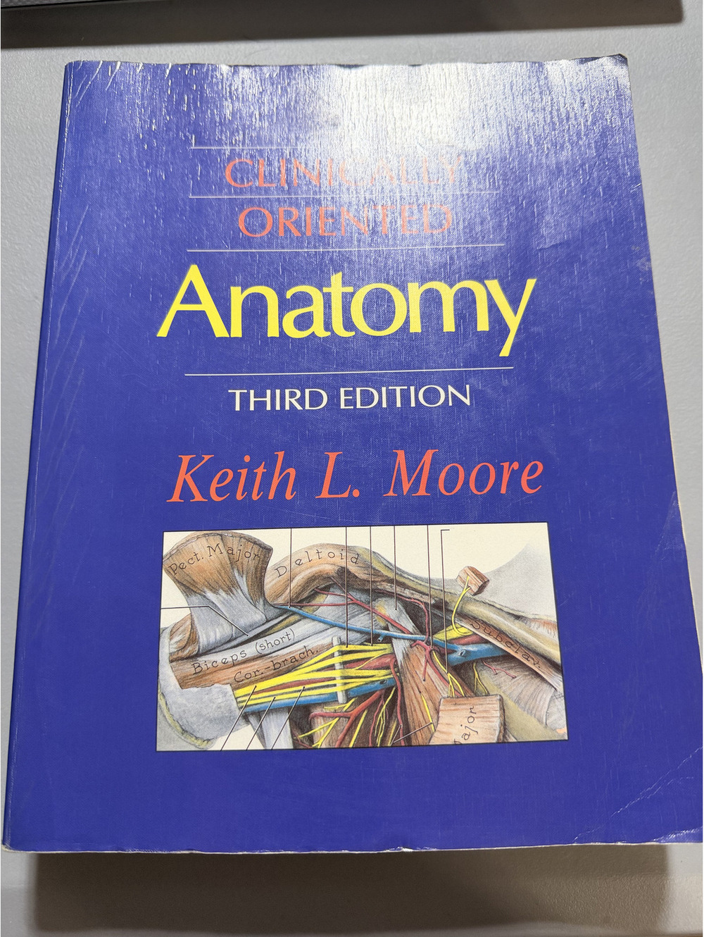 Clinically Oriented Anatomy, Third Edition by Keith L. Moore
